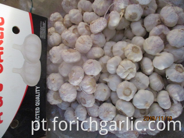 Best Quality Fresh Pure White Garlic
